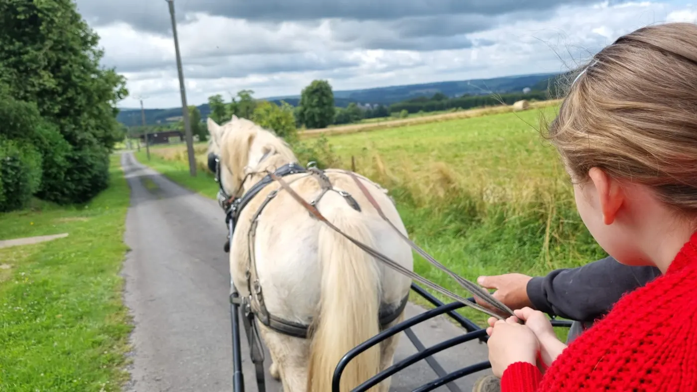 Balade en calèche dans les Ardennes — PIAM PIAM