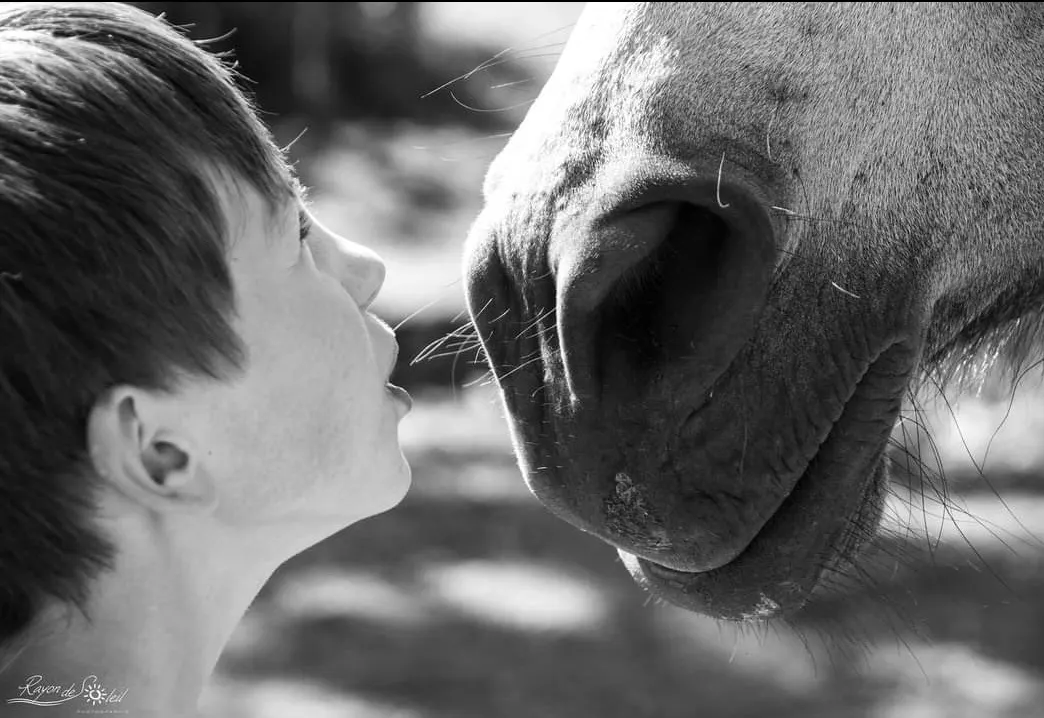 Enfant et cheval nez à nez — médiation animale PIAM PIAM