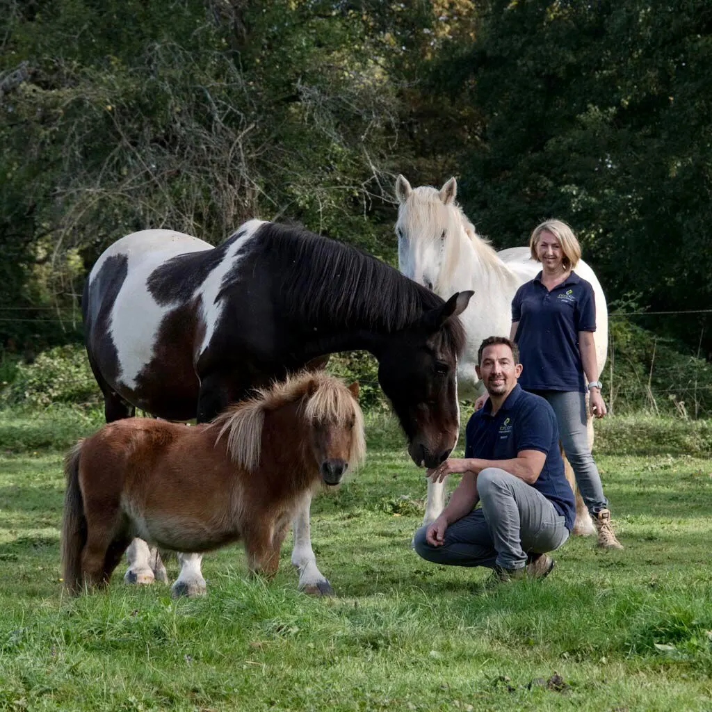 L'équipe PIAM PIAM avec leurs chevaux en Ardennes